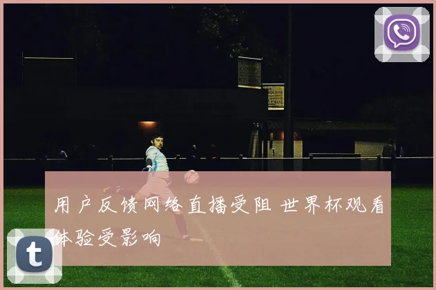 用户反馈网络直播受阻 世界杯观看体验受影响