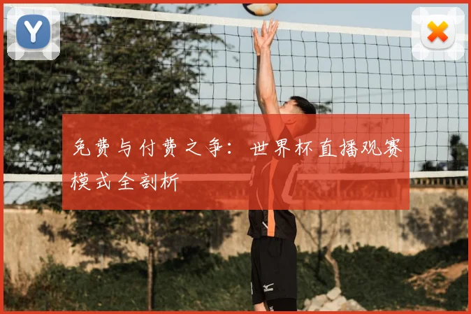 免费与付费之争：世界杯直播观赛模式全剖析