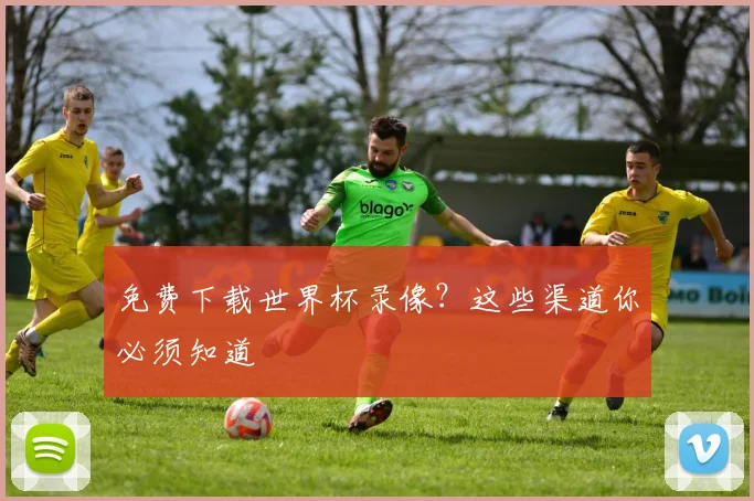 免费下载世界杯录像？这些渠道你必须知道