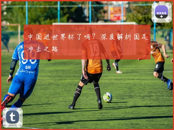 中国进世界杯了吗?深度解析国足冲击之路